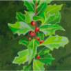 Holly