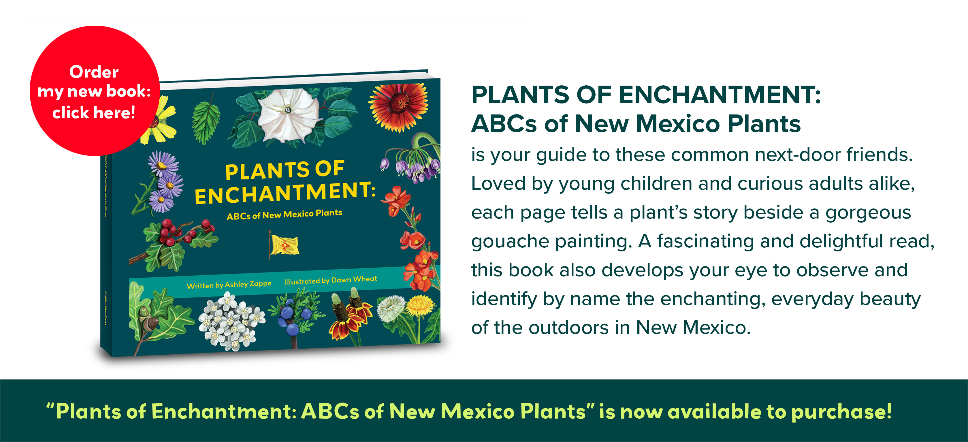 Book Cover ABCs Order Now