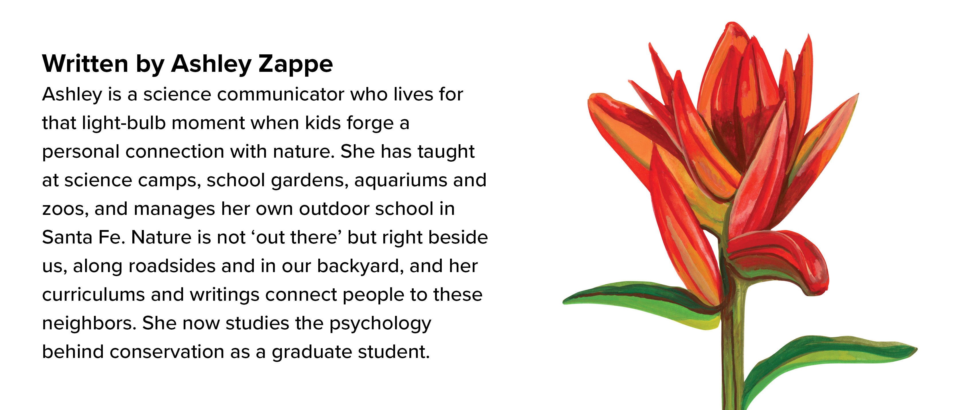 Front Graphics 2025_web_2 copy