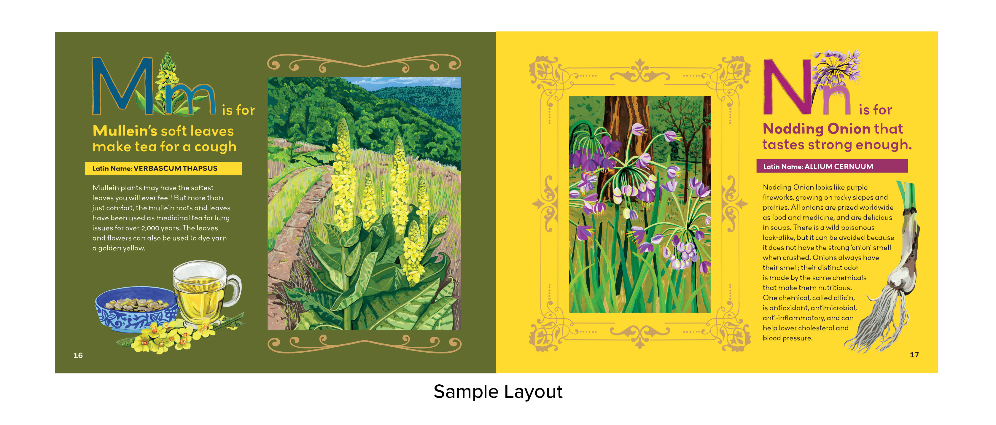 Front Graphics 2025_web_4