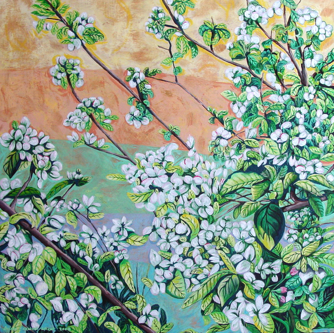 Apple Blossoms gallery