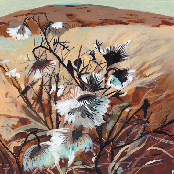 Brown Thistle 72dpi gallery