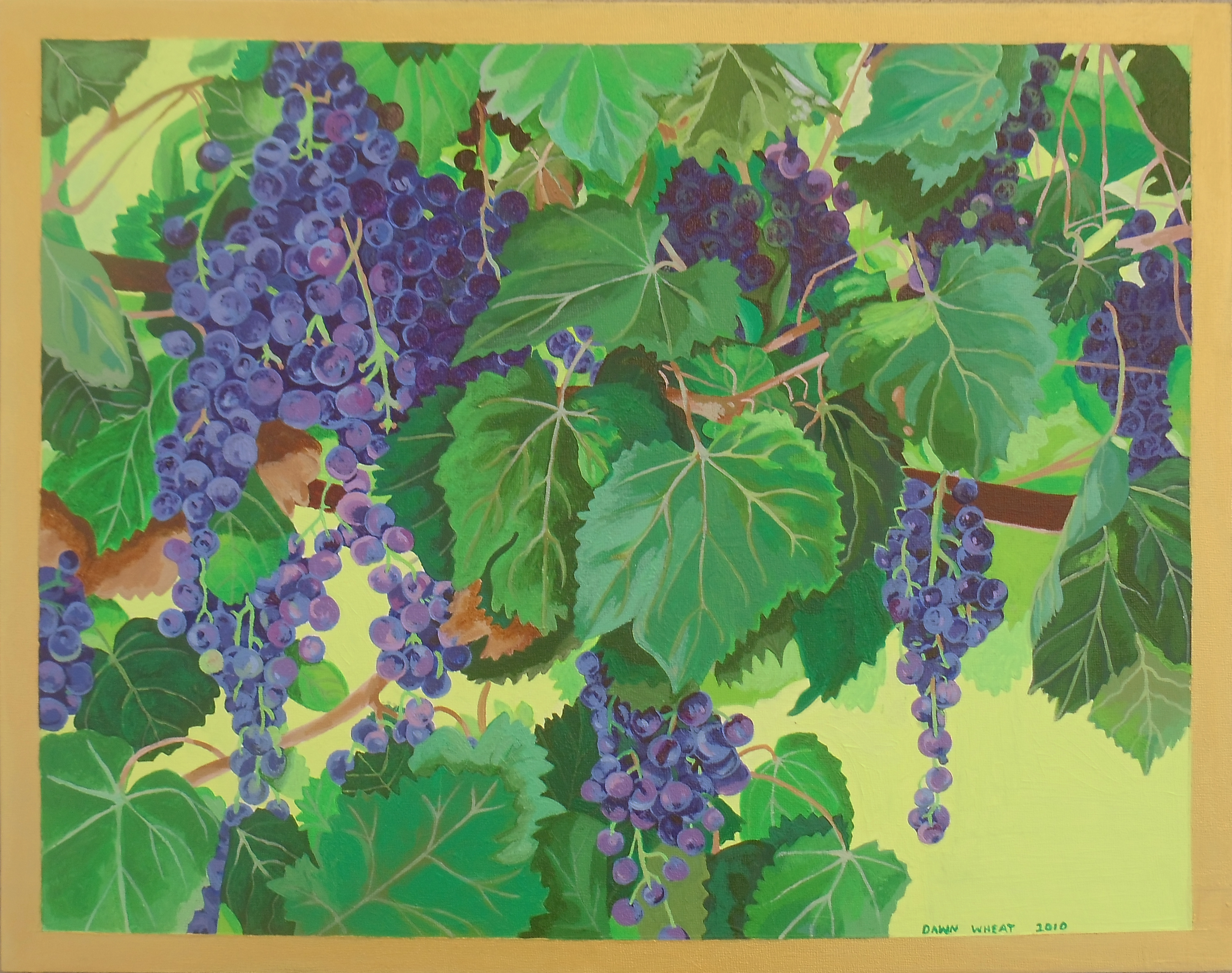 Grape Vines gallery