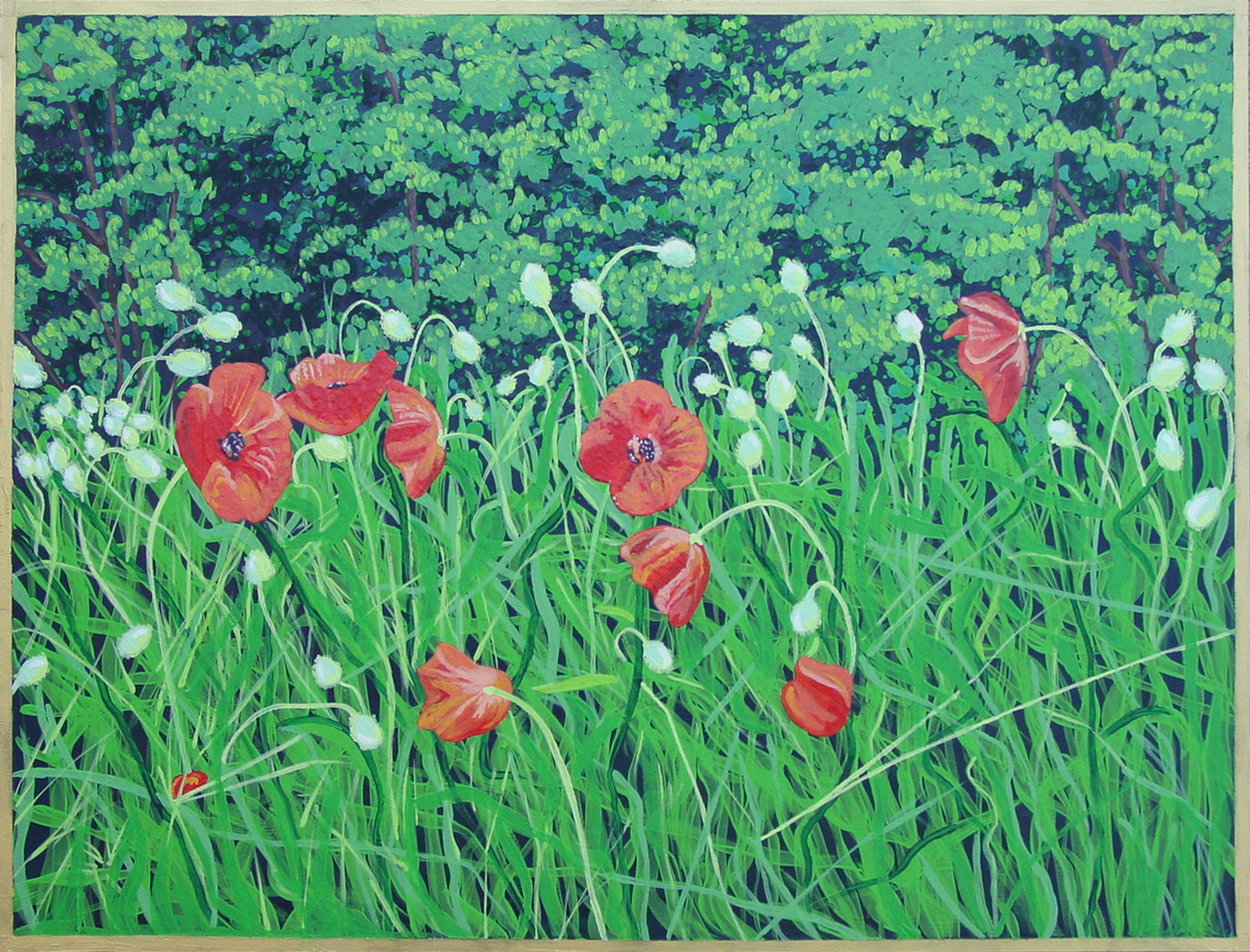 OrientalPoppies gallery