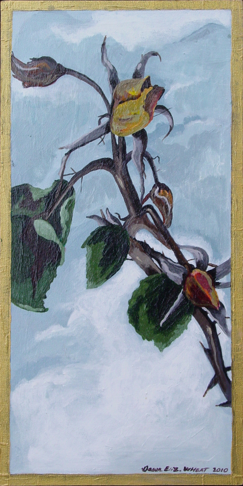 RoseintheSnow gallery