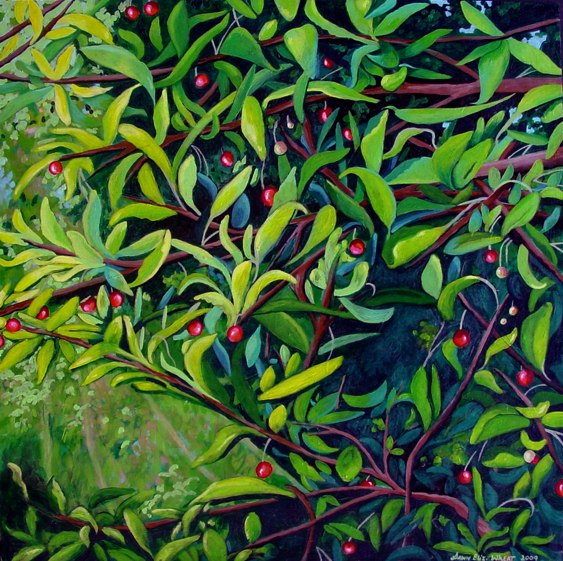 The Cherry Tree gallery