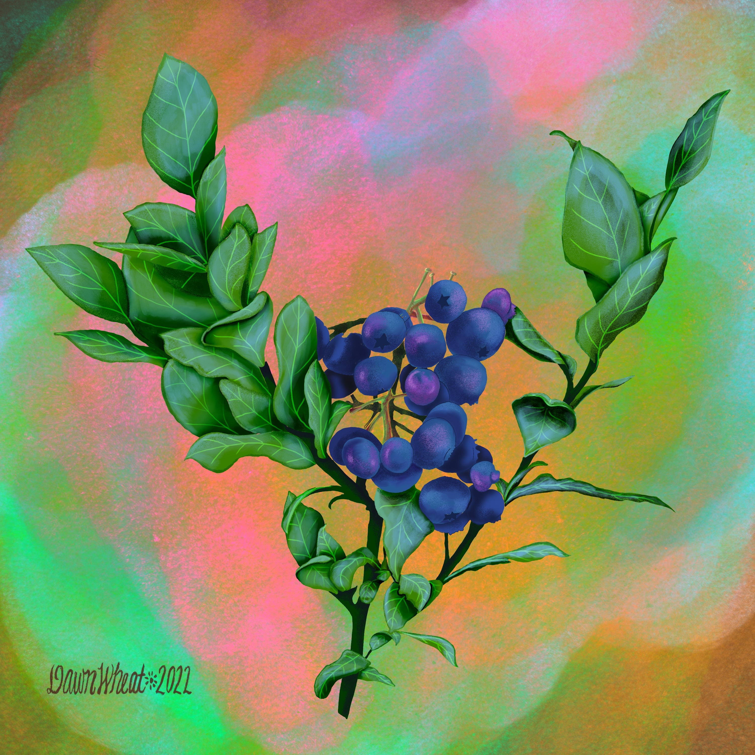 Untitled_Artwork gallery