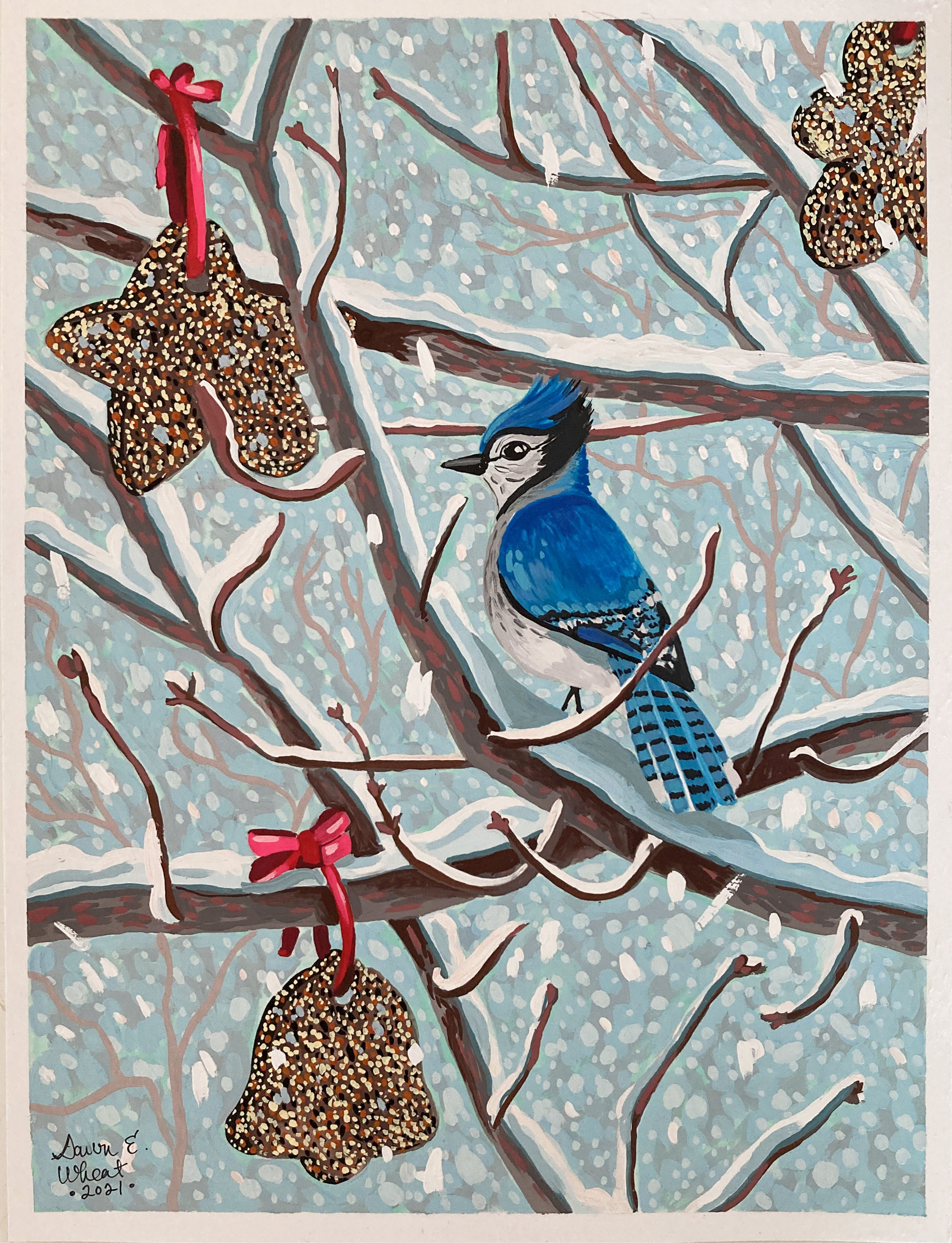 Bluejay gallery
