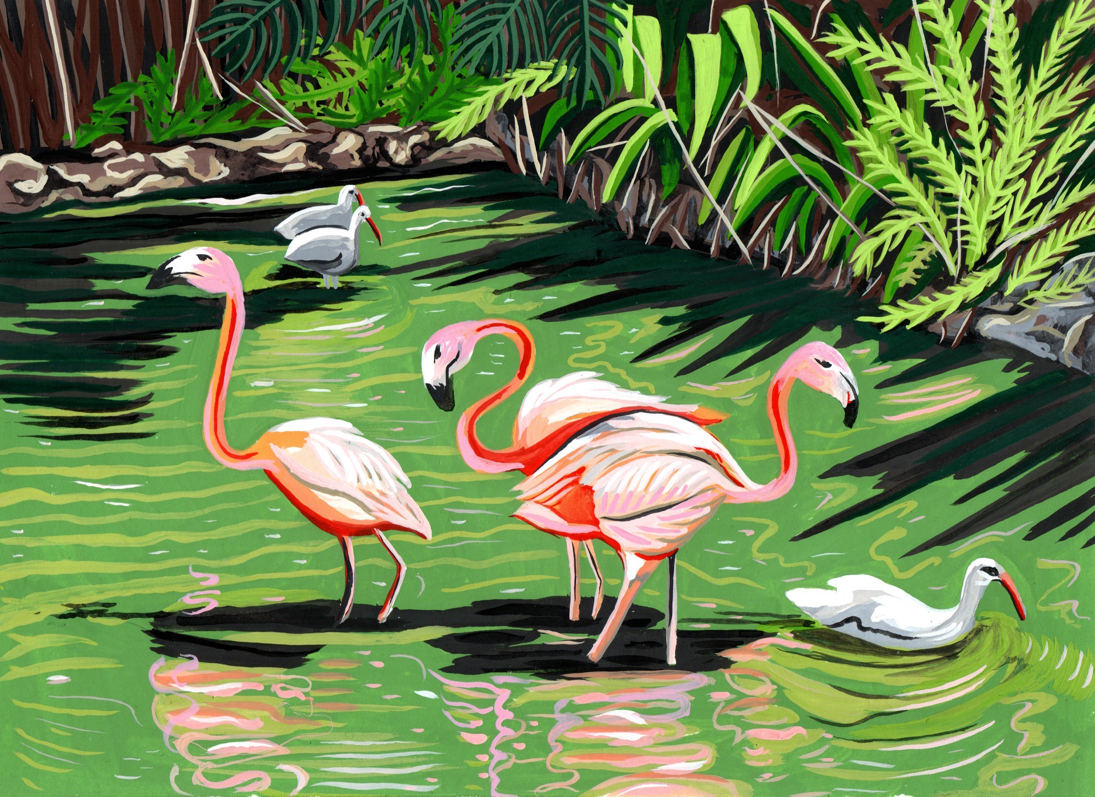 Flamingos gallery