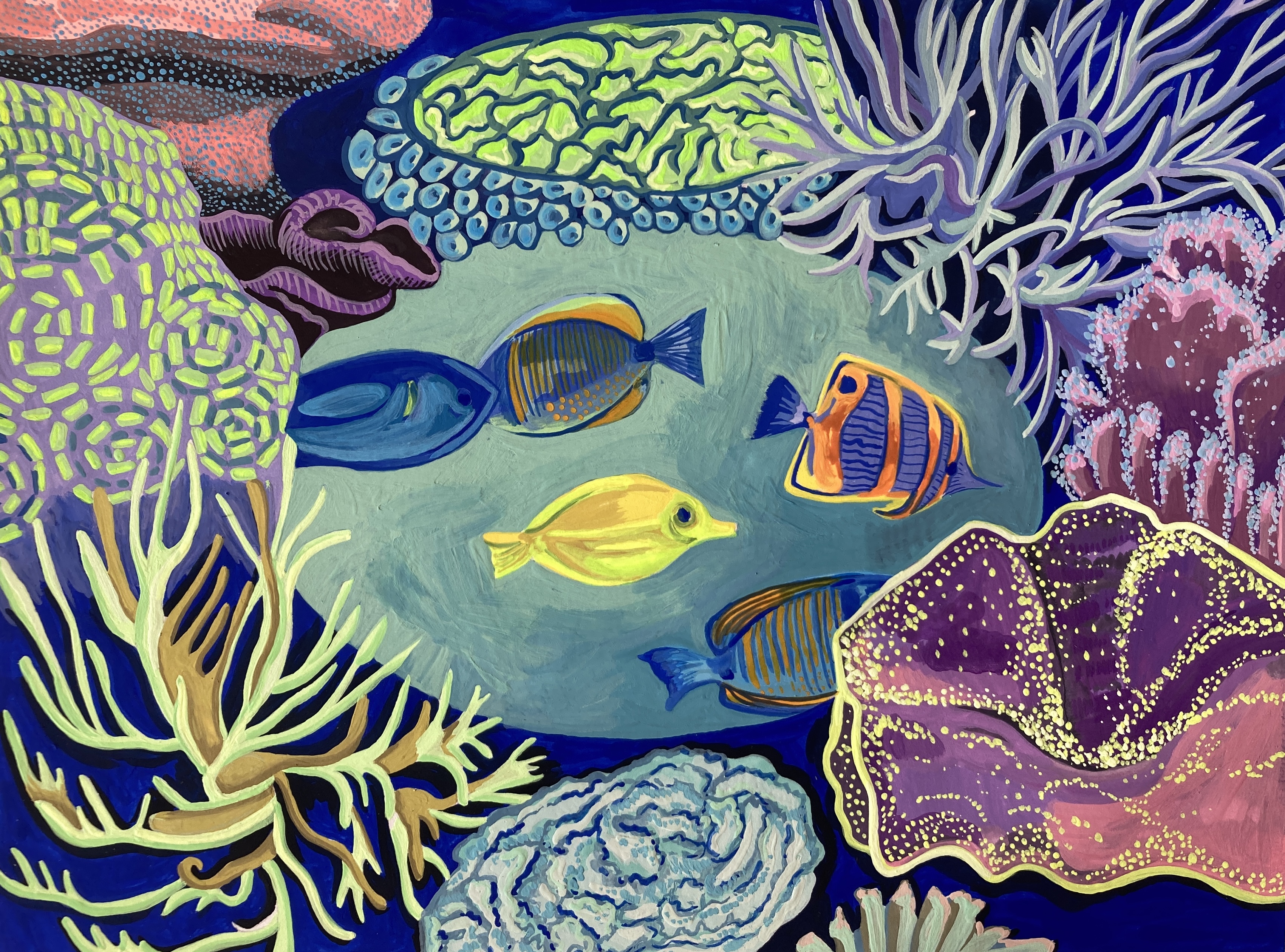 TropicalFish gallery