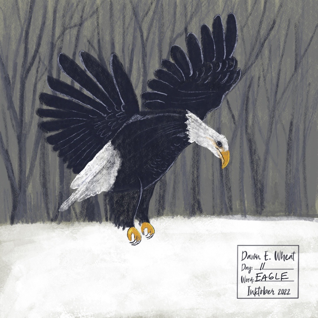 Eagle_Artwork 4 gallery